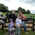 Das war am 2. Tag bei den Eseln